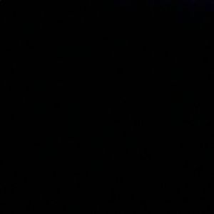 Meet your Posher, Wayne